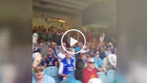 İngiltere'de kriket maçında ilginç protesto