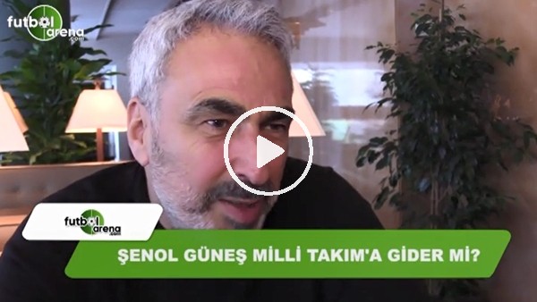Şenol Güneş, Milli takıma gider mi?