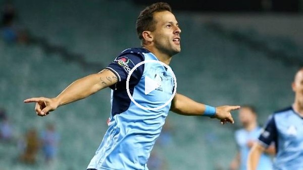 Bobo, Sydney'i taşımaya devam ediyor!