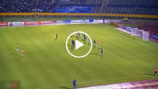 Ekvador'u sallayan Roberto Carlos golü!