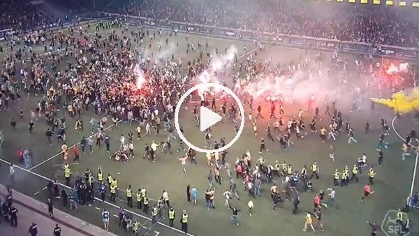 Young Boys taraftarı şampiyonluk sonrası çıldırdı