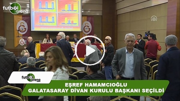 Eşref Hamamcıoğlu, Galatasaray'ın yeni divan kurulu başkanı seçildi