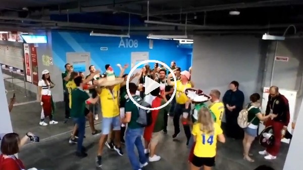 Meksika ve İsveçli taraftarlardan Almanya'ya "Bye Bye"