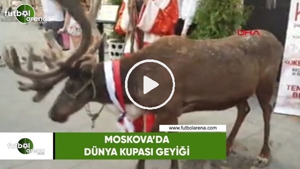 Moskova'da dünya kupası geyiği