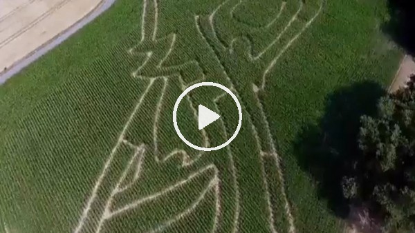 Dünya Kupası'na birde yüksekten bakın!