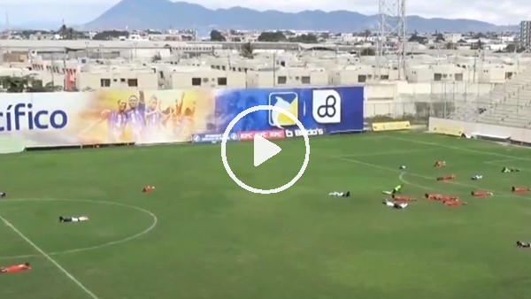 Sahayı arılar bastı!