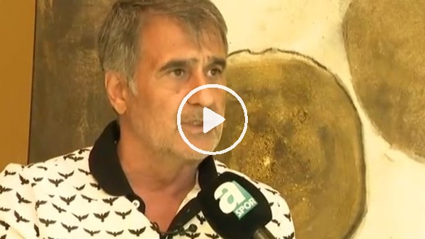 Şenol Güneş: "Vida giderse 2 stoper almamız lazım"