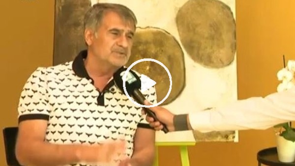 Şenol Güneş: "Tosic'in gitmesini istemedim"