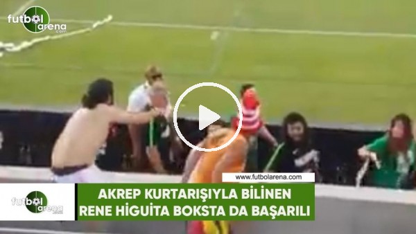 Akrep kurtarışıyla bilinen Rene Higuita, boksta da başarılı!