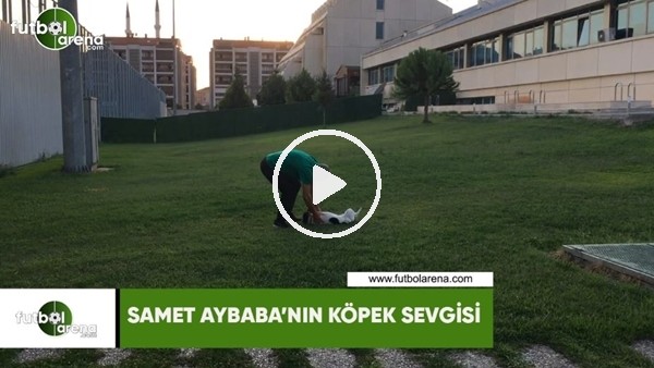 Samet Aybaba'nın köpek sevgisi