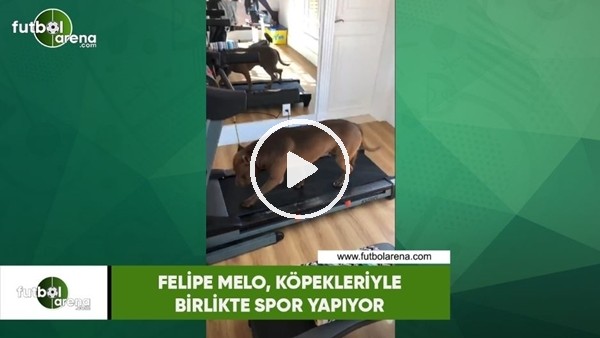 Felipe Melo, köpekleriyle birlikte spor yapıyor