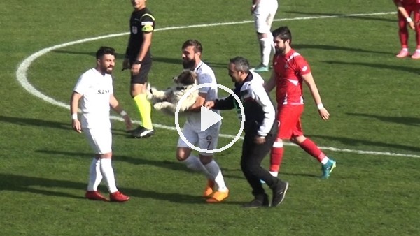 Sahaya giren köpek maçın durmasına neden oldu