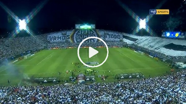 Olimpia taraftarından müthiş koreografi
