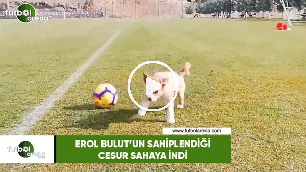Erol Bulutun sahiplendiği Cesur sahaya indi