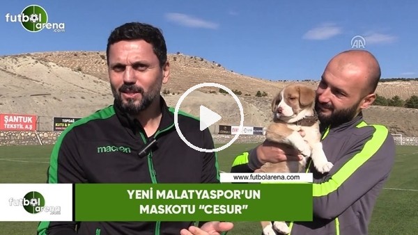 Yeni Malatyaspor'un maskotu "Cesur"