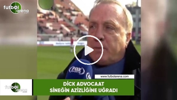 Dick Advocaat sineğin azizliğine uğradı
