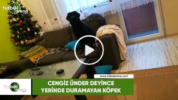 Cengiz Ünder deyince yerinde duramayan köpek