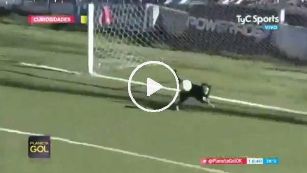 Sahaya giren köpek golü önledi...