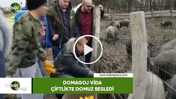 Domagoj Vida, çiftlikte domuz besledi