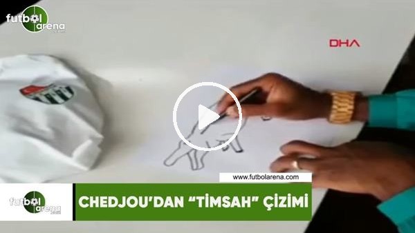 Chedjou'dan "Timsah" çizimi