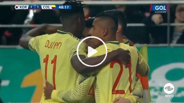 Çılgın spikerin gol sevinci...