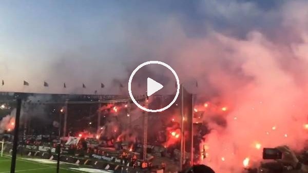 PAOK taraftarının şampiyonluk sevinci