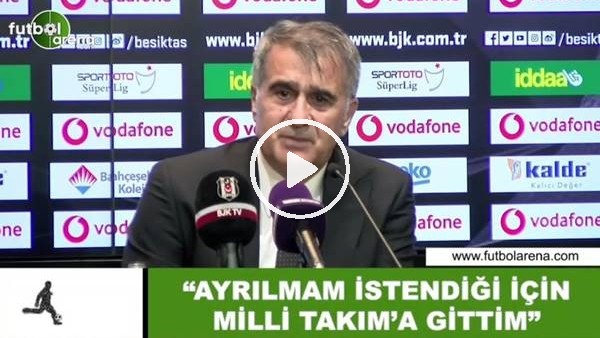 Şenol Güneş: "Ayrılmam istendiği için Milli Takım'a gittim"
