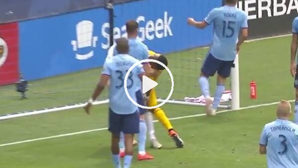  Zlatan Ibrahimovic'e 2 maç ceza 