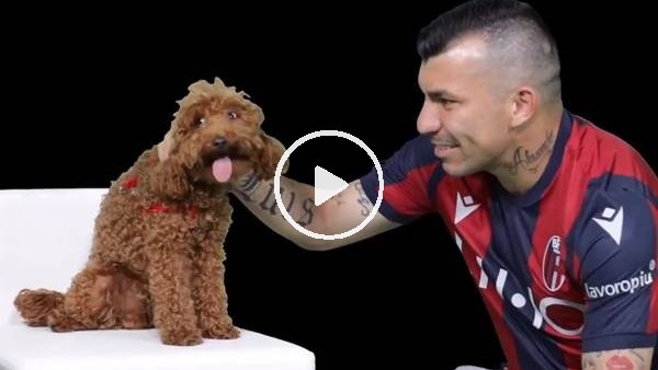Bologna, Gary Medel transferini açıkladı