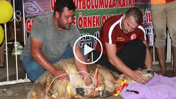 'Falcao gelirse kurban keseceğim' diyen esnaf, sözünü yerine getirdi