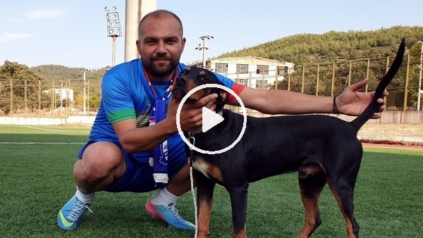Av köpeği karşılığında transfer oldu