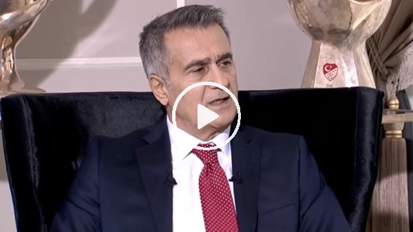Şenol Güneş: "Milli Takım her şeyin üstündedir"