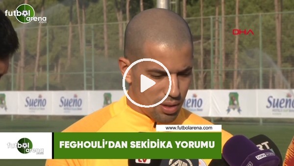 Feghouli'den Sekidika yorumu