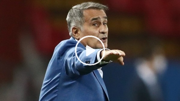 Şenol Güneş: "Almanya'dan etkilenen bir ülkeyiz"