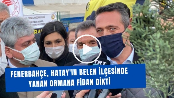 Fenerbahçe, Hatay'ın Belen ilçesinde yanan ormana fidan dikti