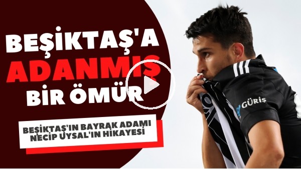 Beşiktaş'a adanmış bir ömür: Necip Uysal'ın hikayesi