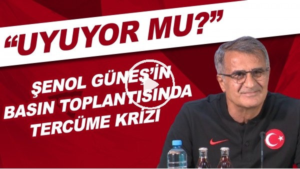 Şenol Güneş'in basın toplantısında tercüme krizi! "Uyuyor mu?"