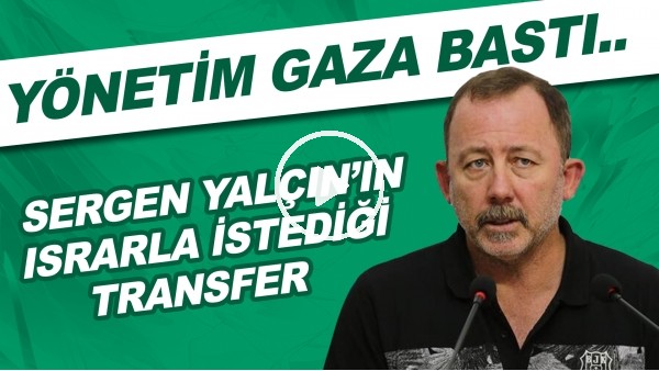 Sergen Yalçın'ın ısrarla istediği transfer | Yönetim gaza bastı..