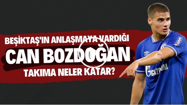 Beşiktaş'ın anlaştığı Can Bozdoğan kimdir? | Avrupa kulüplerinin radarındaydı