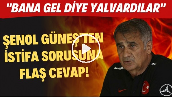 Şenol Güneş'ten istifa sorusuna FLAŞ cevap! "Gelirken bana yalvardılar"