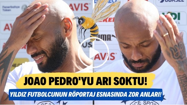 Joao Pedro'yu arı soktu! Yıldız futbolcunun röportaj esnasında zor anları