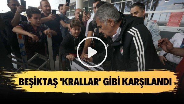 'Beşiktaş kafilesi Antalya'da 'Krallar' gibi karşılandı
