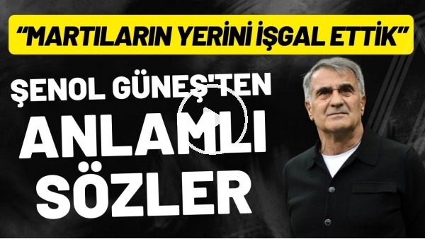 Şenol Güneş'ten anlamlı sözler: "Martıların yerini işgal ettik"