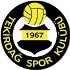 Tekirdağspor